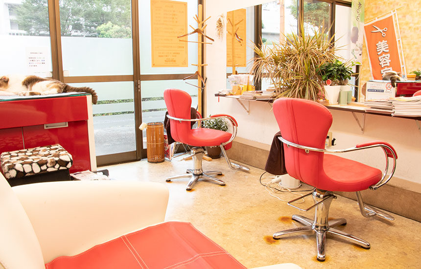 厚木の美容室 Amour アムール リビングライフ