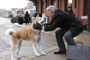 HACHI̖